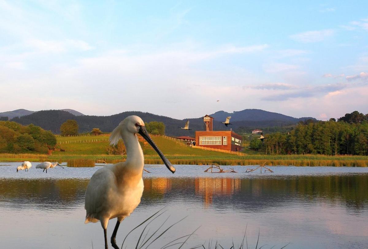 Adosado En La Costa Con Excelentes Vistas Al Estuario De Urdaibai Villa Mundaka Kültér fotó